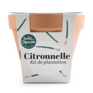 Kit Citronnelle - Pot en Terre Cuite - 13 cm